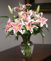 Pink Lily with Glass Vase